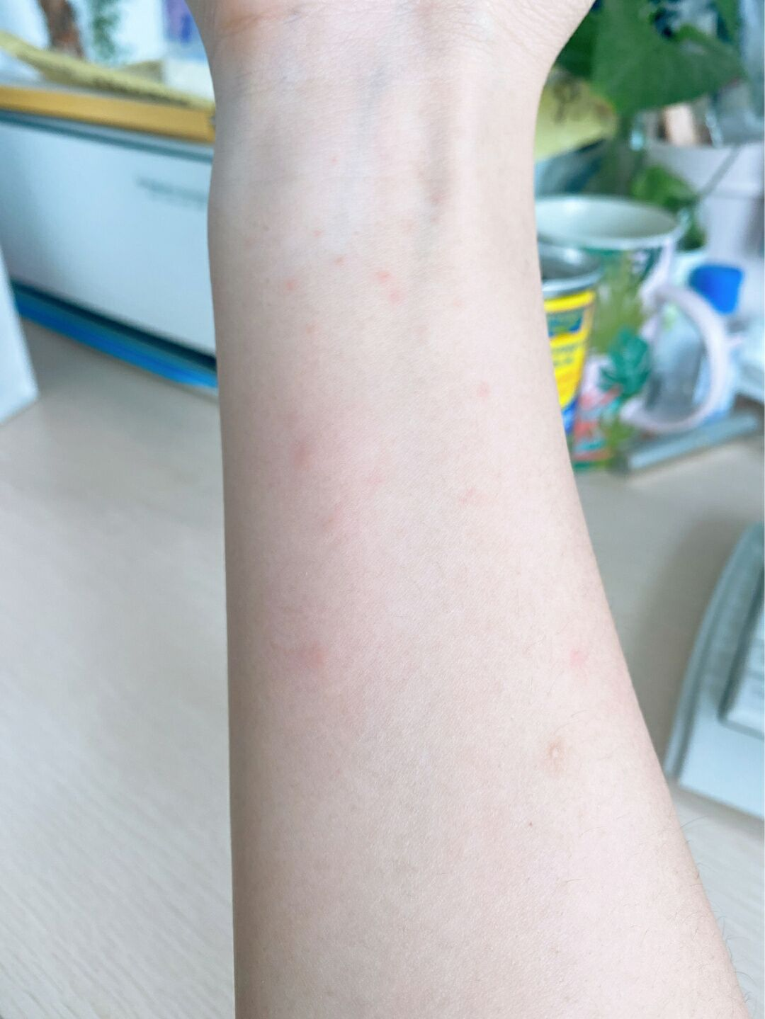 城市生活垃圾管理办法最新版,城市生活垃圾管理办法最新版，小巷中的绿色秘境