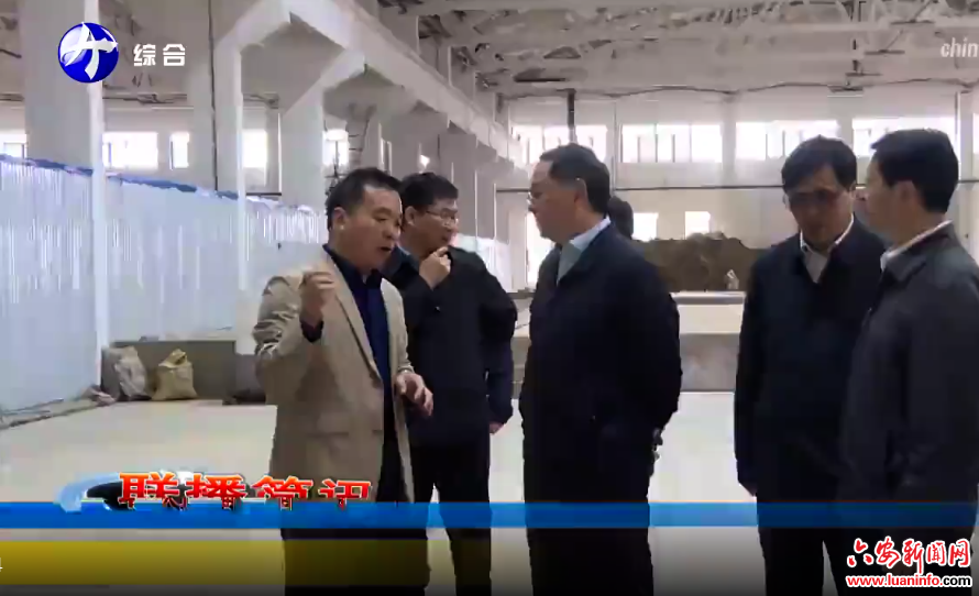 舒城划入合肥，城市发展的最新篇章