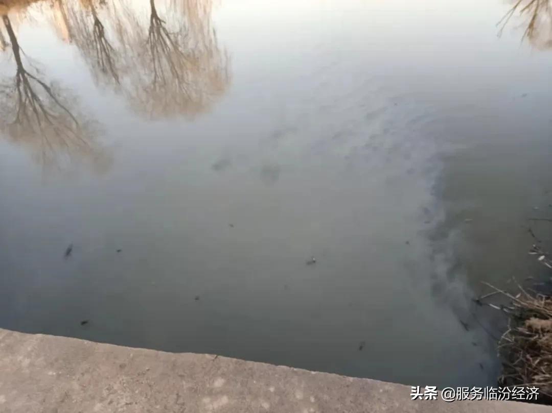 第2766页