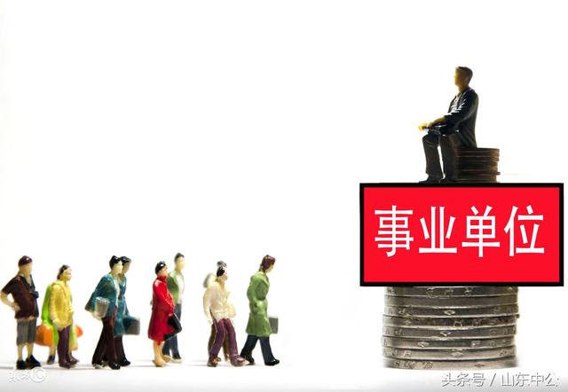 山东事业单位改革最新消息,山东事业单位改革最新消息与一段温馨的日常故事