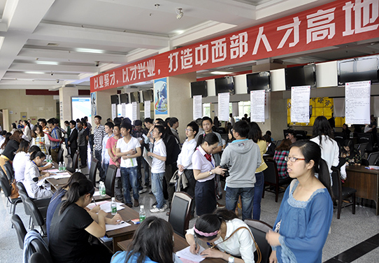 西昌市人才市场最新招聘动态概览，最新职位与招聘信息汇总