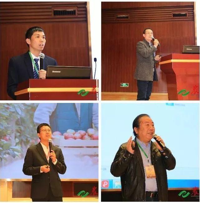咪多吡最新价格,咪多吡最新价格揭秘，小巷深处的独特风味之旅
