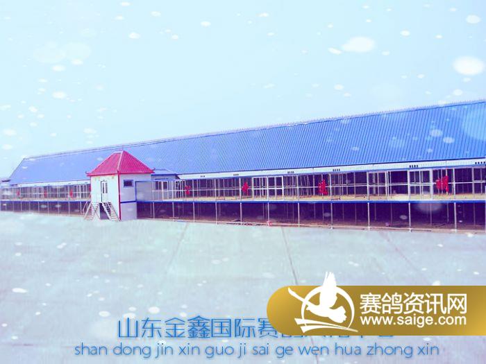 乐陵金鑫公棚最新公告,乐陵金鑫公棚最新公告