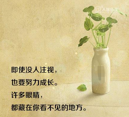 小巷深处的励志小店，探索未知的励志之旅最新句子分享