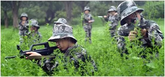 最新野战图片,最新野战图片，现代战争的真实瞬间