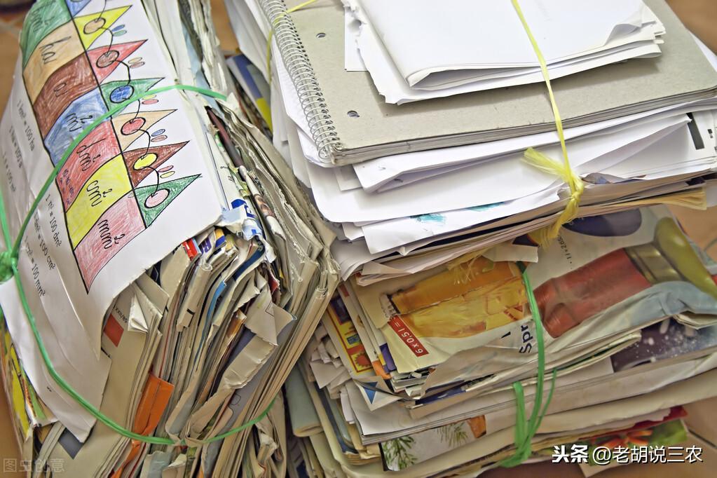 黄板纸最新价格行情动态更新📢