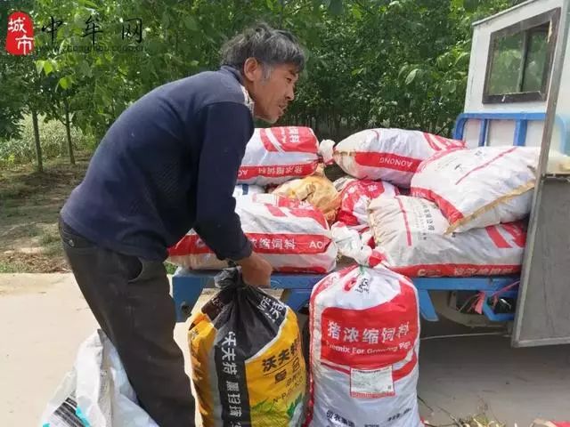 中牟早熟蒜最新价格，一场蒜香之旅探寻内心平静之道