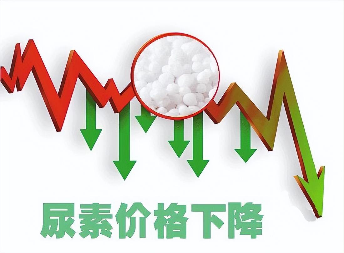 国际尿素最新价格行情，自然美景背后的探索之旅