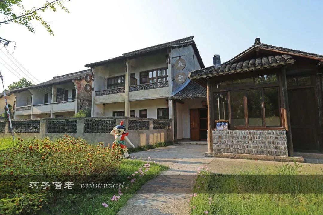 乌镇门票优惠政策最新,乌镇门票优惠政策最新，一场充满惊喜的温馨之旅