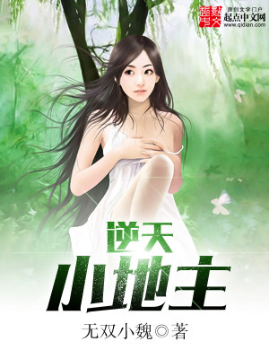 透视小地主，最新章节的温馨趣事与日常篇章