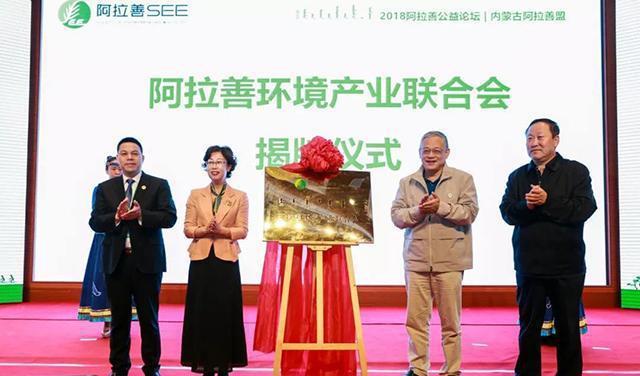 启东新闻最新动态，深度分析与观点阐述