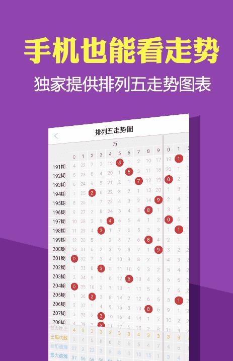 2024新澳正版最新免费资料大全,行动规划执行_AVL25.371复兴版
