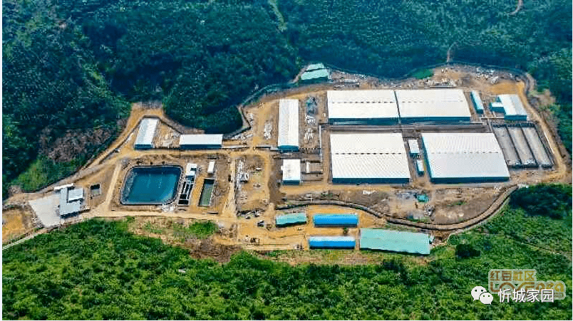广西来宾忻城最新新闻，城市温情与友谊的交织