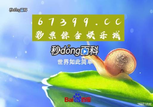 二四六赢彩43432cc天下图文,精细化实施分析_HUQ51.831掌中版