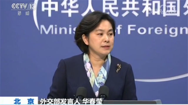 华春莹最新动态更新🌟（涉政问题关注）
