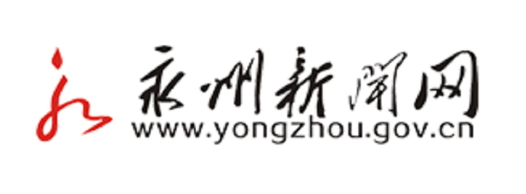 道州红网最新事件论述揭秘，最新动态与深度剖析