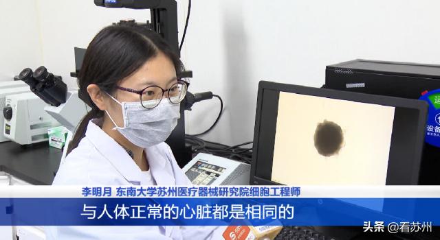 最新消息 第6页
