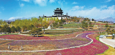 最新园，自然美景的轻松探索之旅