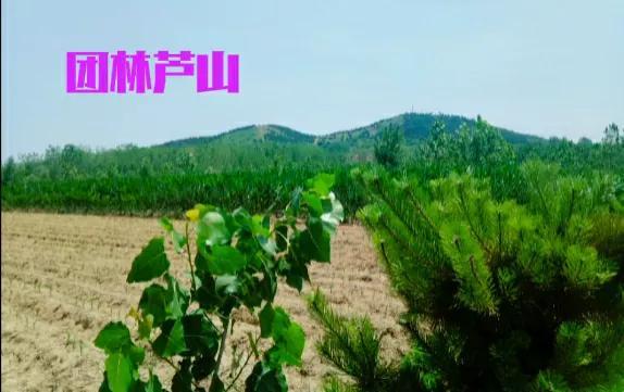 临沂城市崛起，最新消息及其影响力分析