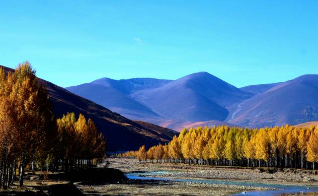 探寻真实中国，与自然美景的亲密之旅，寻觅内心平和的旅程