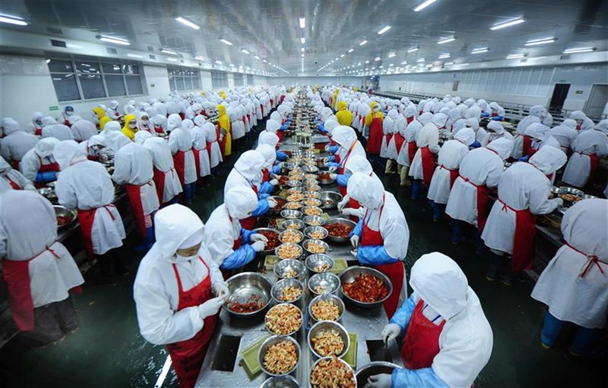科技引领生活，智能掌控美味时刻——小龙虾最新价格概览