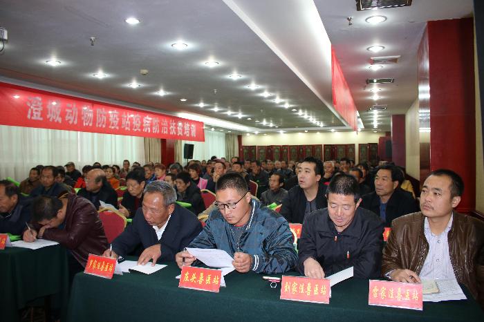 科技引领新生活，智能体验羊肉最新价格新纪元