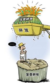 耕地占补平衡最新政策，变化中的机遇与挑战，成就感的源泉探索之路