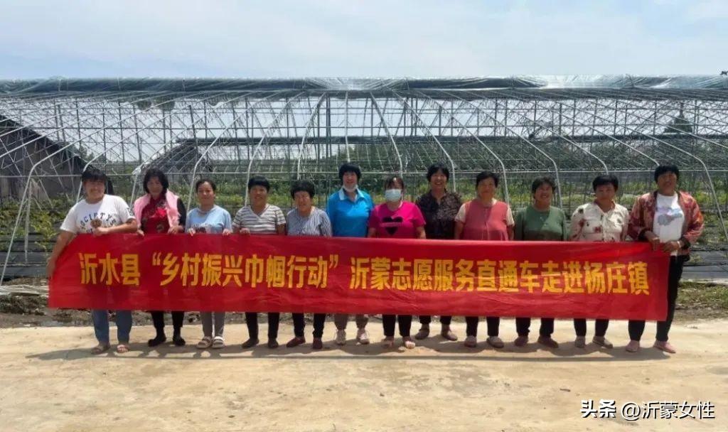 莒南县改区动态更新，最新消息揭秘