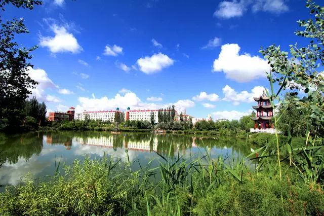 亳州万物春最新动态，自然美景的探索之旅