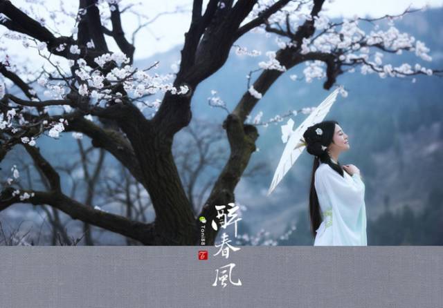 时代之光下的情感纠葛与成长历程，夏安暖与封勒的最新章节