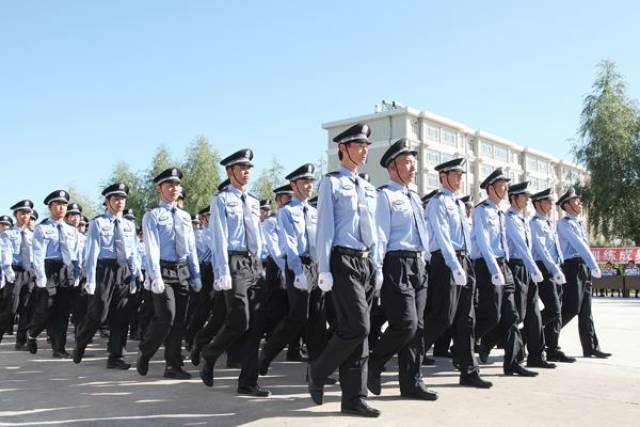 🌟青海辅警改革最新动态🌟
