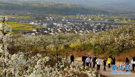 洋县县城最新动态报道