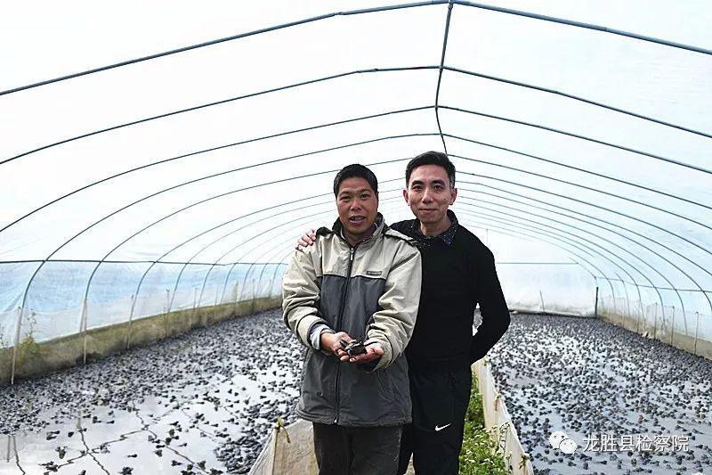牛蛙最新动态更新