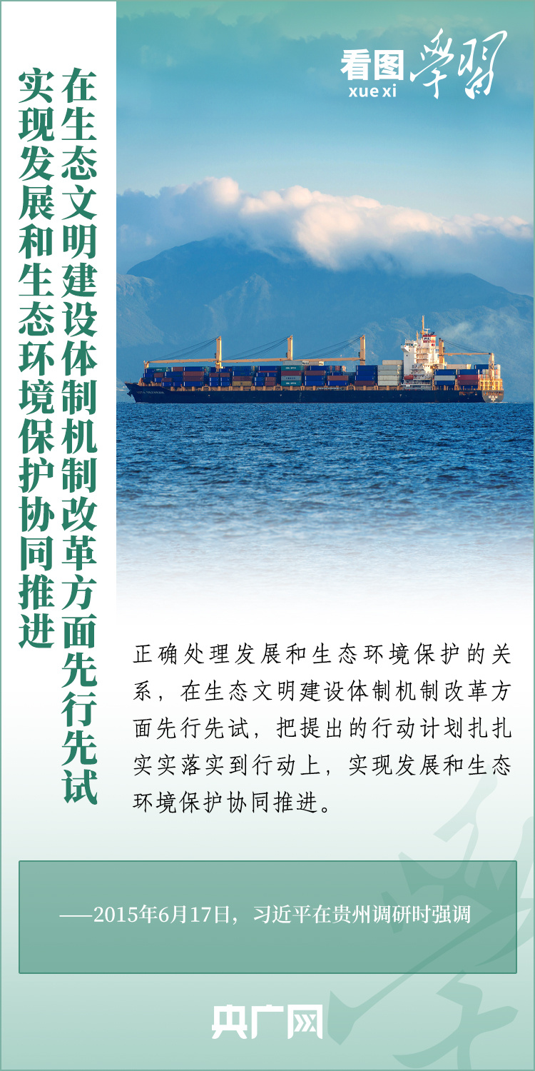 美丽水世界最新版的代码解析与论述