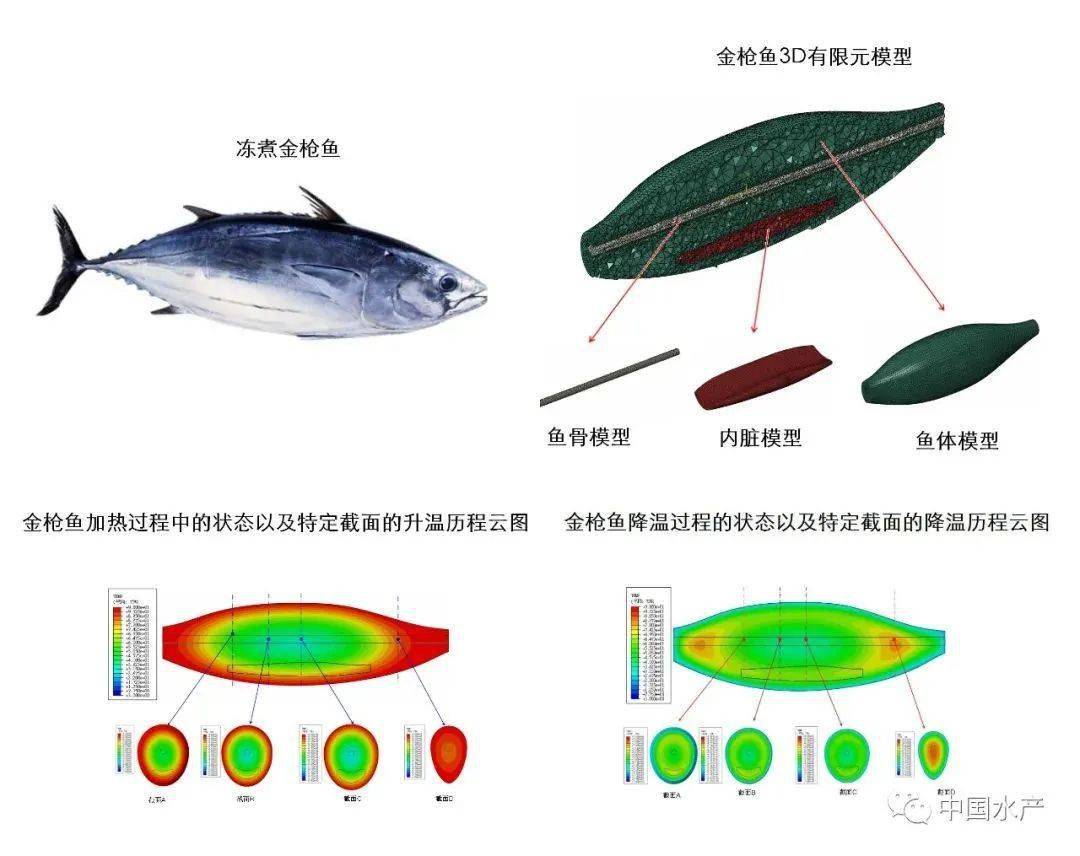 科技引领捕鱼革新，最新捕鱼工具大揭秘