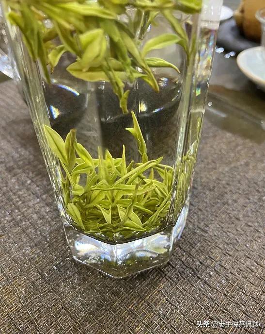 最新排名揭晓