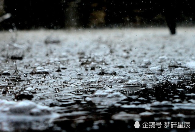 台风最新报告与小巷深处的独特风味探索之旅同步更新