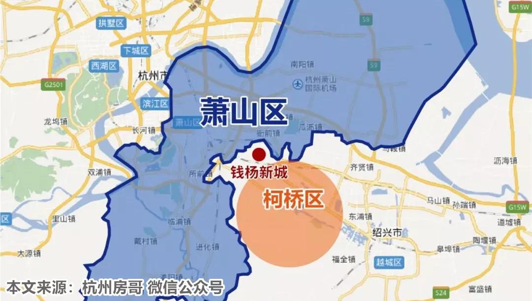 市场分析与发展展望