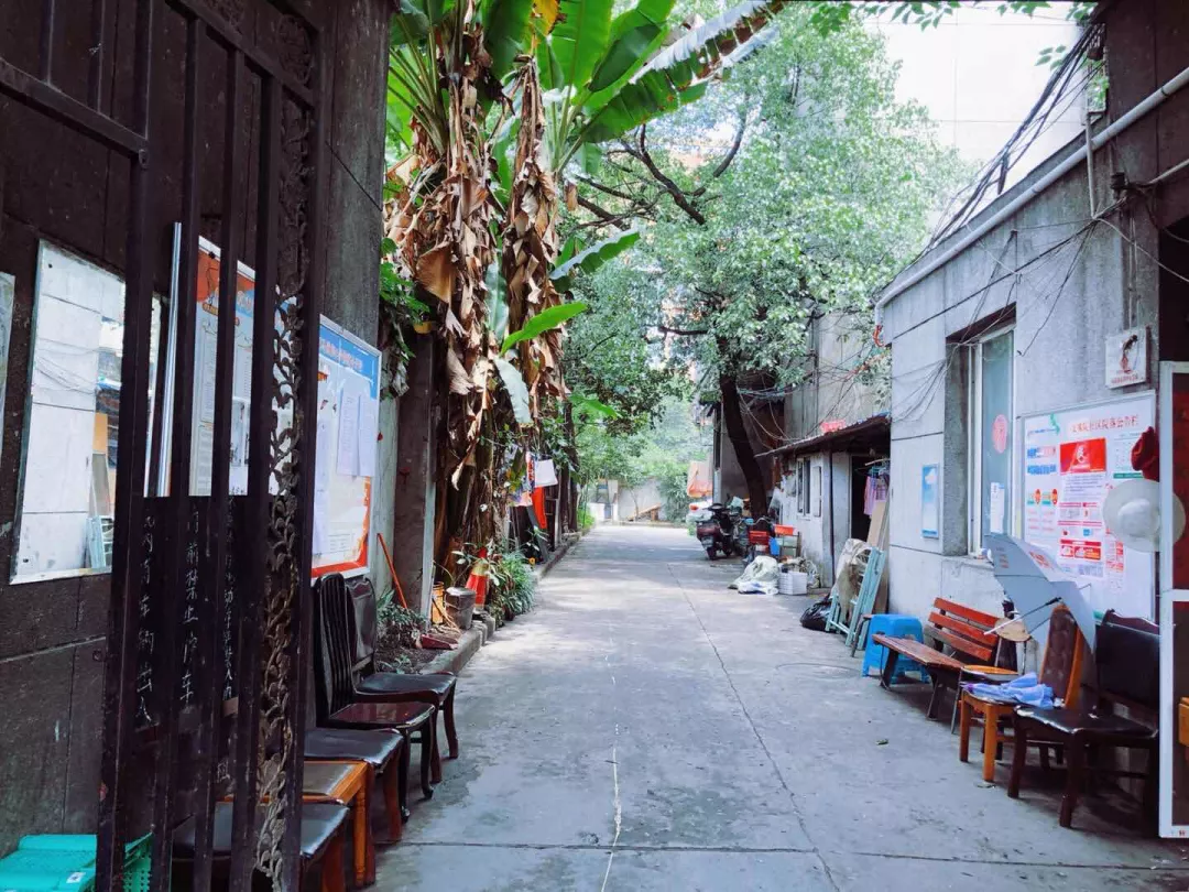 草馏社区最新地址揭秘，探秘小巷中的独特风味
