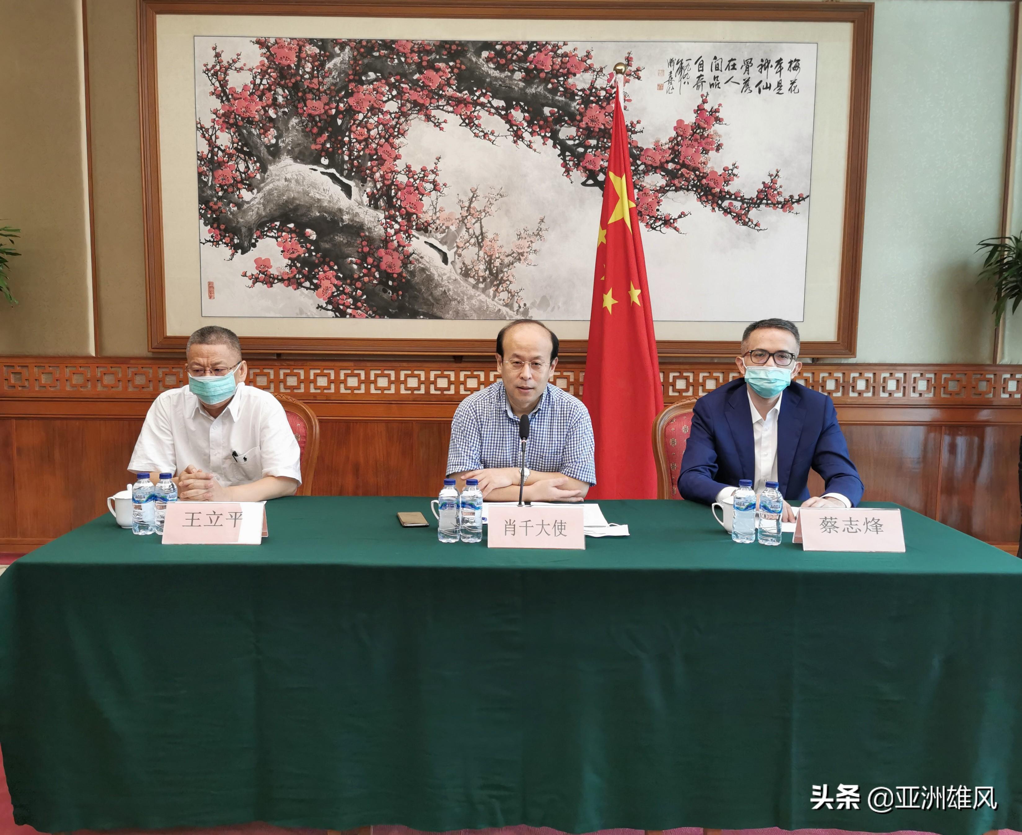 印尼肺炎最新动态，深度分析与实时关注
