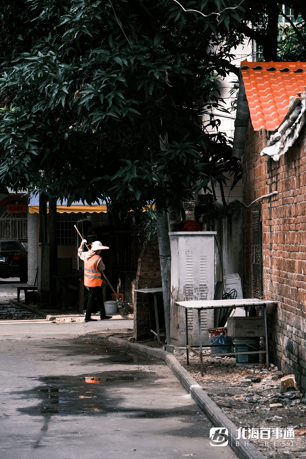小巷深处的特色小店探秘，最新大杂乱独家揭秘