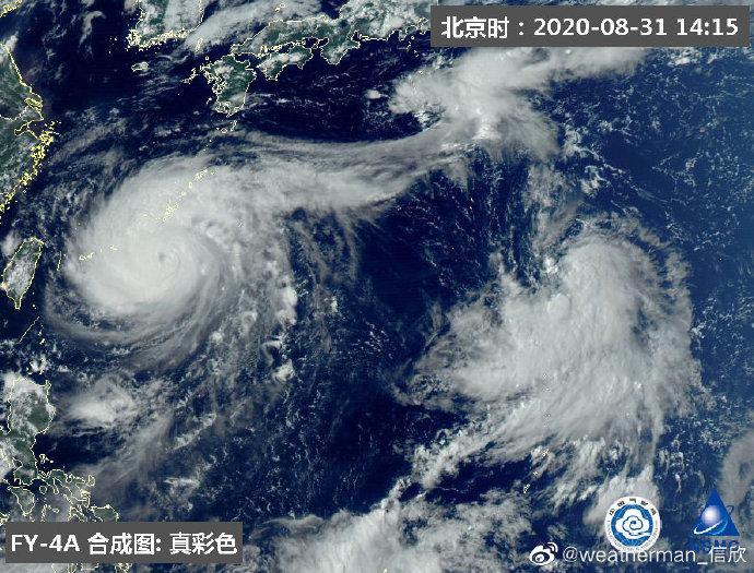 最新台风海神，台风中的温馨日常故事