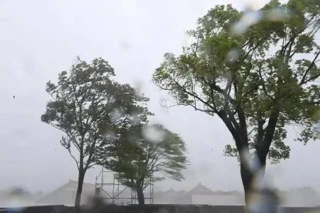 台风动态
