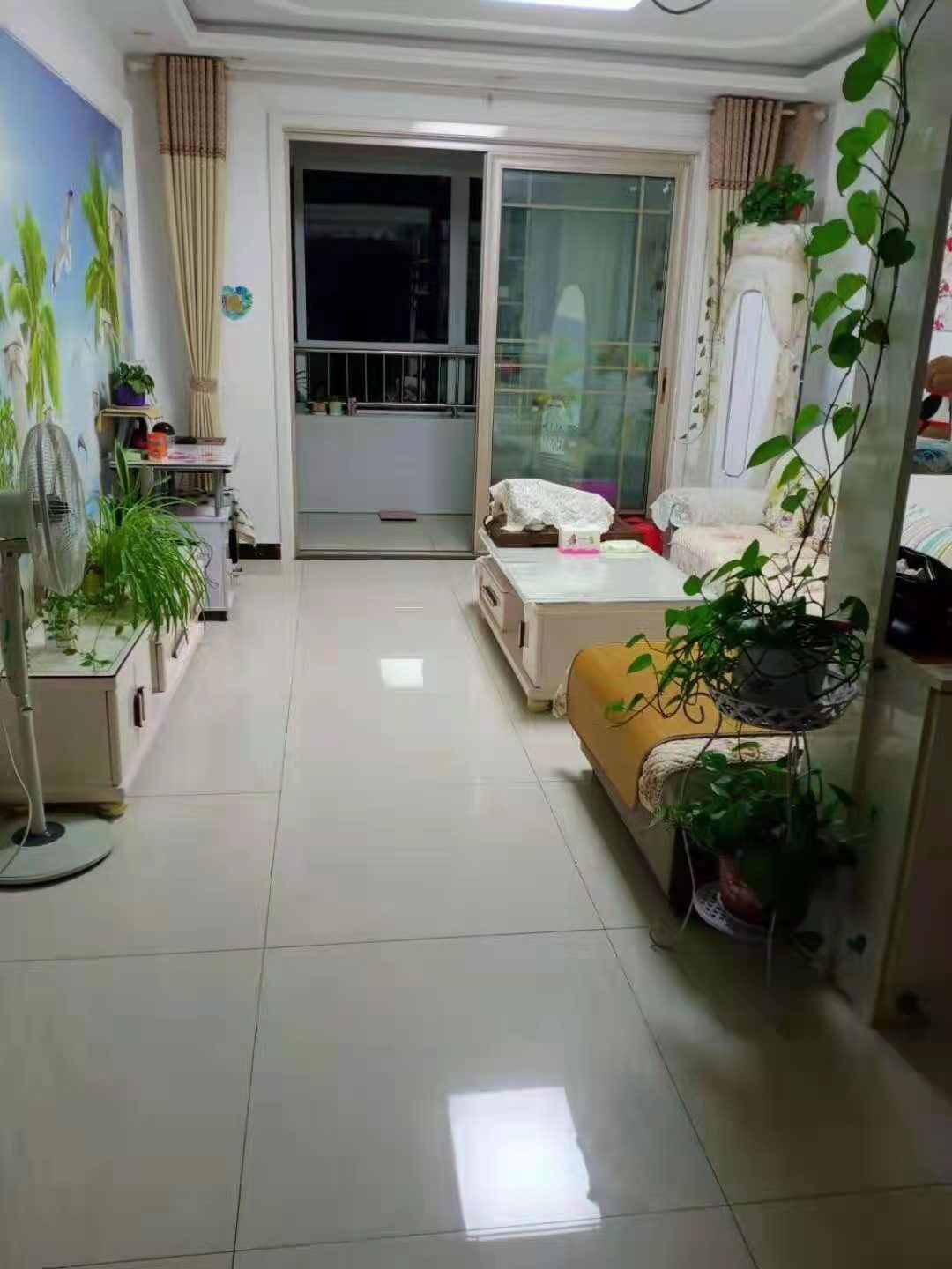 临邑急售二手房市场现状及影响分析