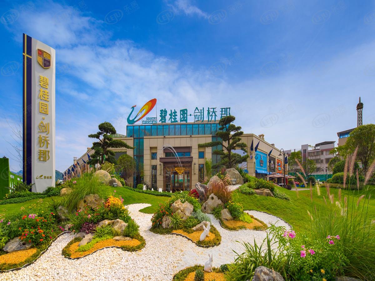 桂林碧桂园最新价格概览与动态分析