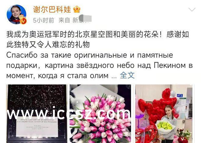 小巷中的隐秘美味，陈丽最新章节汇总