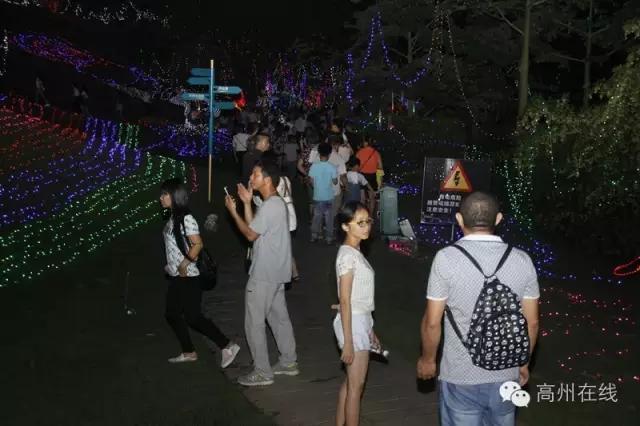 高州碧桂园最新动态揭秘，最新进展与资讯更新