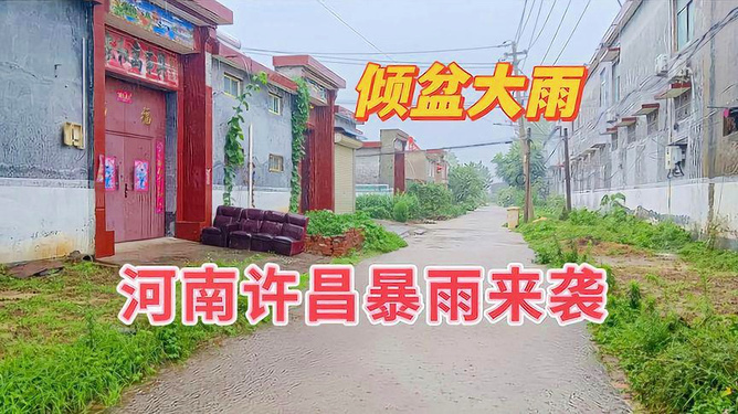 东阳驰成最新公告，小巷深处的独特风味，味蕾与环境的双重盛宴