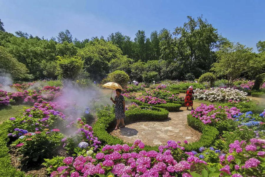 秘密花园最新网站，自然美景的探索之旅