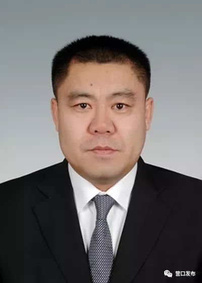 营口最新人事任免及其背后的故事揭秘